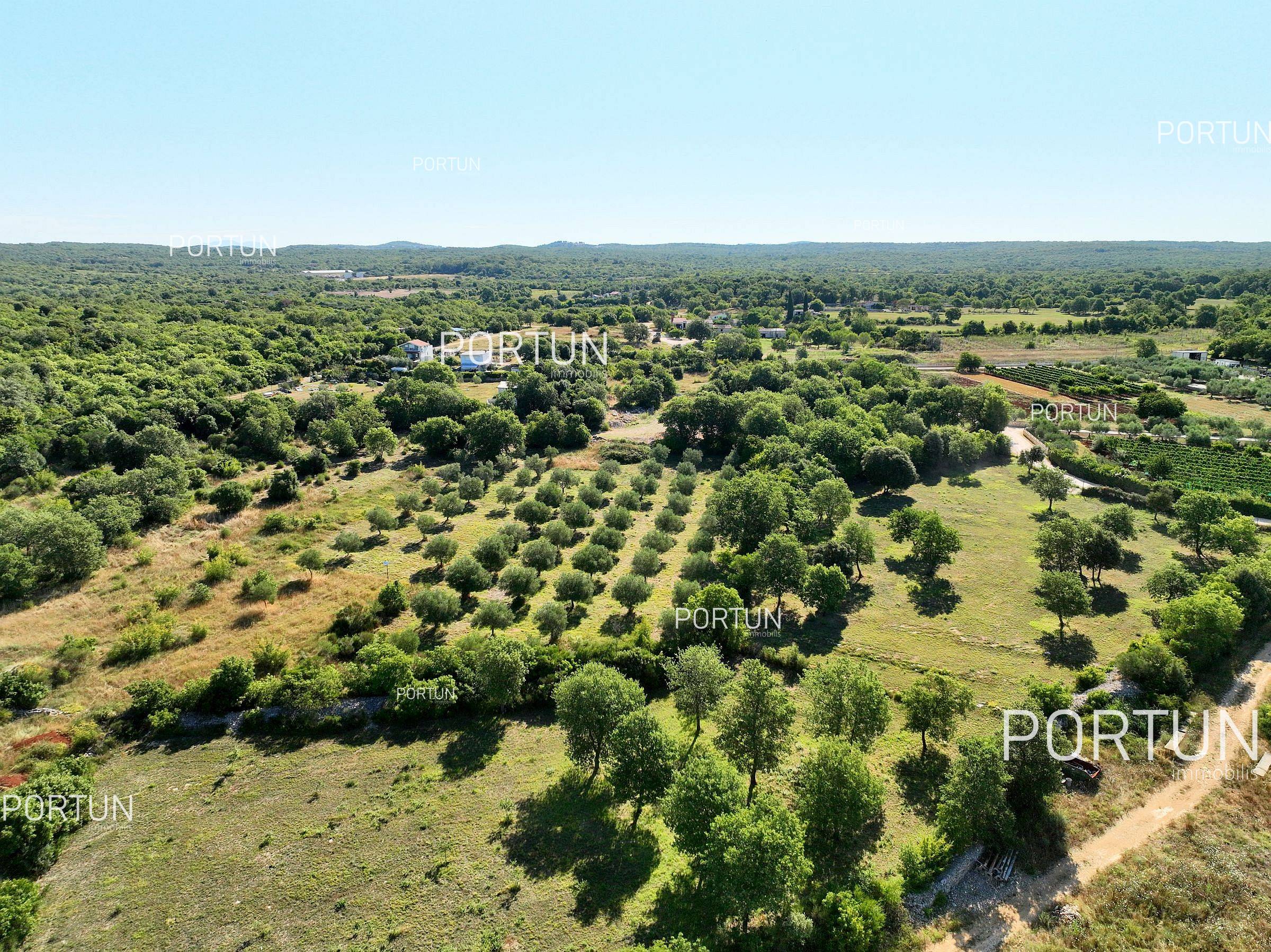 Terreno in vendita a Rovigno - 40642 - 05