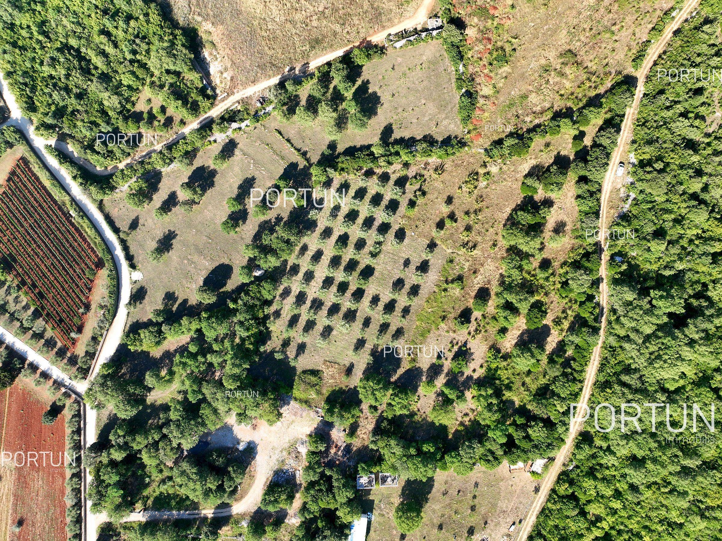 Terreno in vendita a Rovigno - 40642 - 06