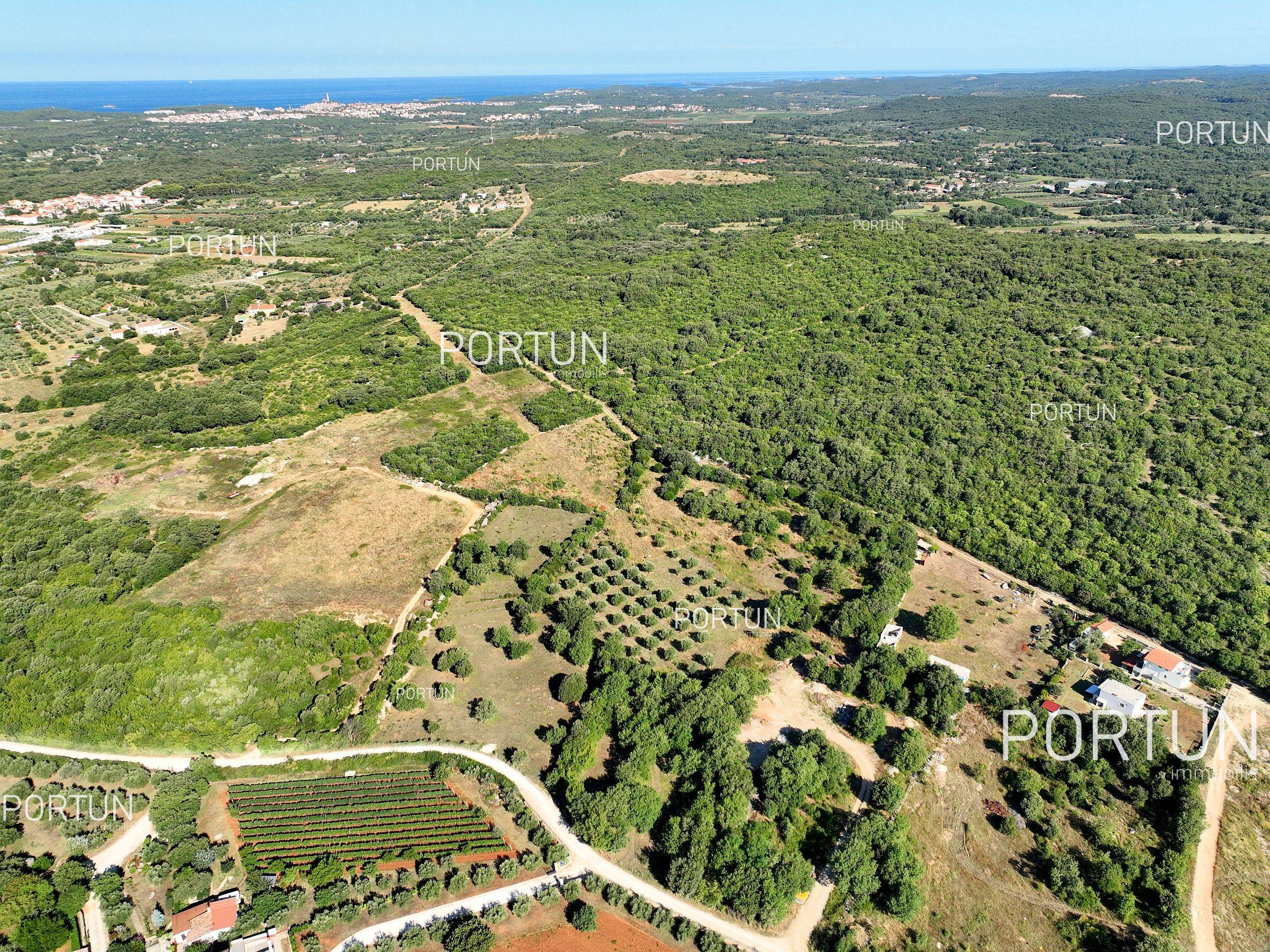 Terreno in vendita a Rovigno - 40642 - 10