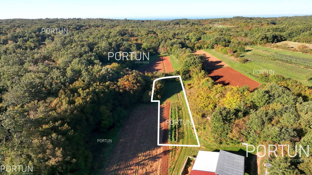 Plot of land for Sale in Sveti Lovreč - 40647 - 01