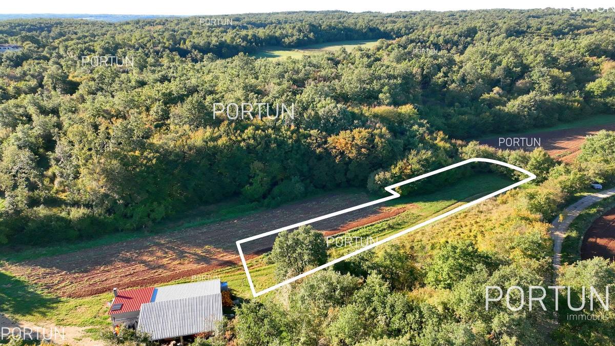 Plot of land for Sale in Sveti Lovreč - 40647 - 02