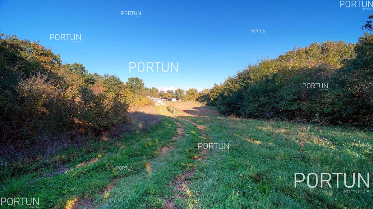 Plot of land for Sale in Sveti Lovreč - 40647 - 04