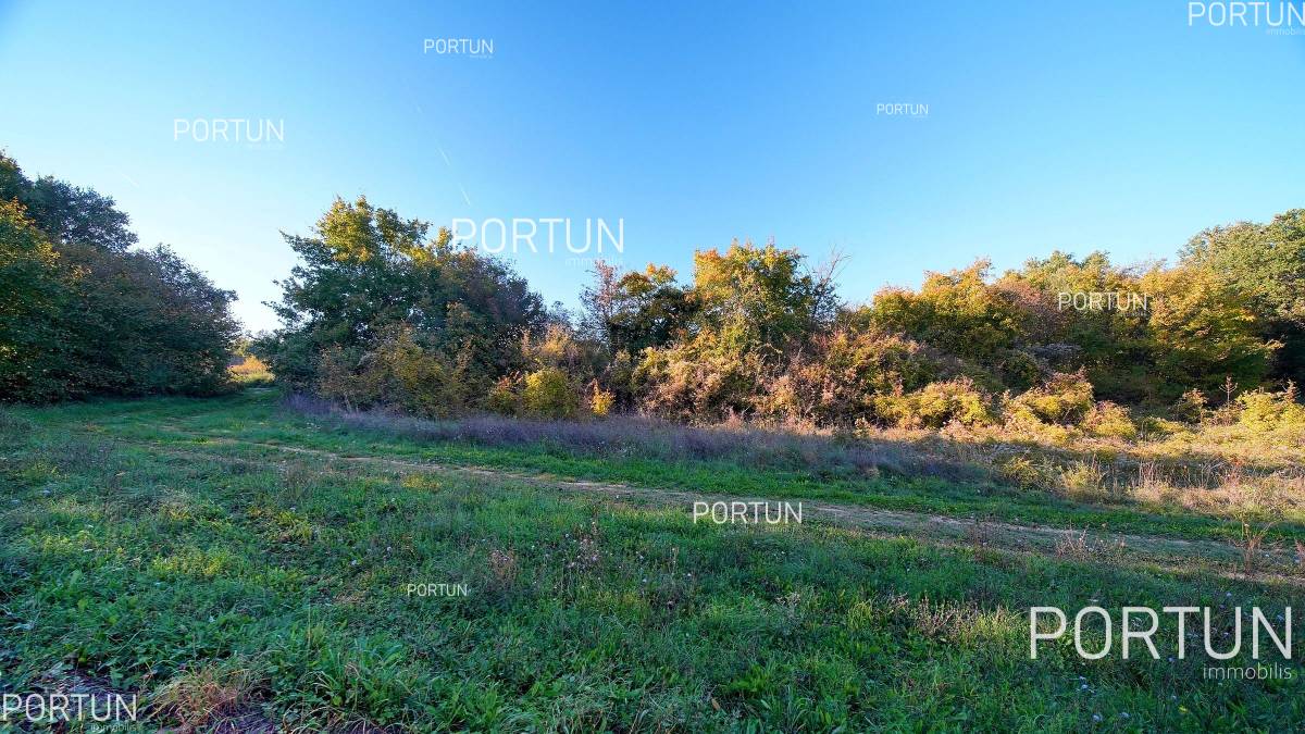 Plot of land for Sale in Sveti Lovreč - 40647 - 05