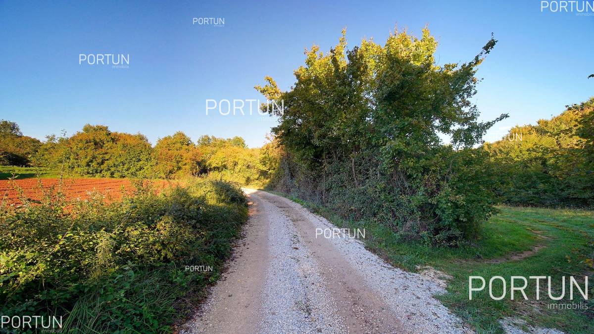 Plot of land for Sale in Sveti Lovreč - 40647 - 06