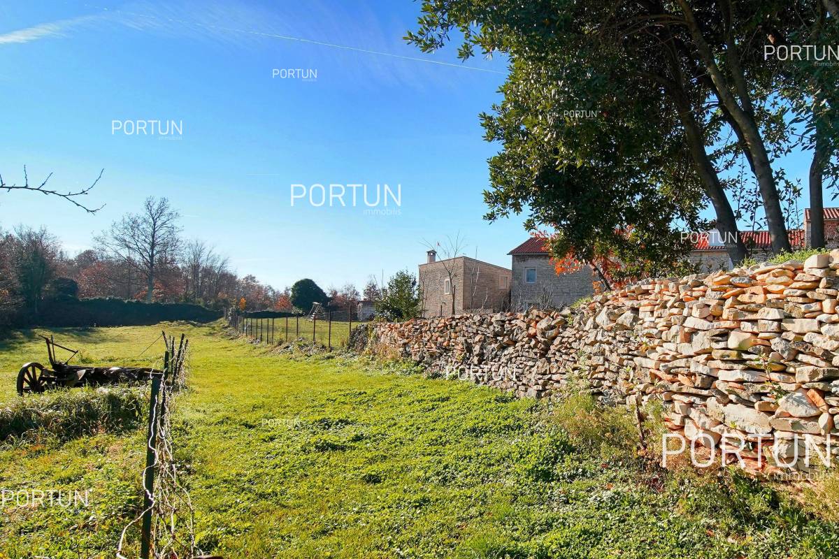 Terreno in vendita a Gimino - 40656 - 09