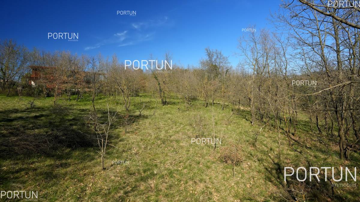 Terreno in vendita a Gimino - 40665 - 03