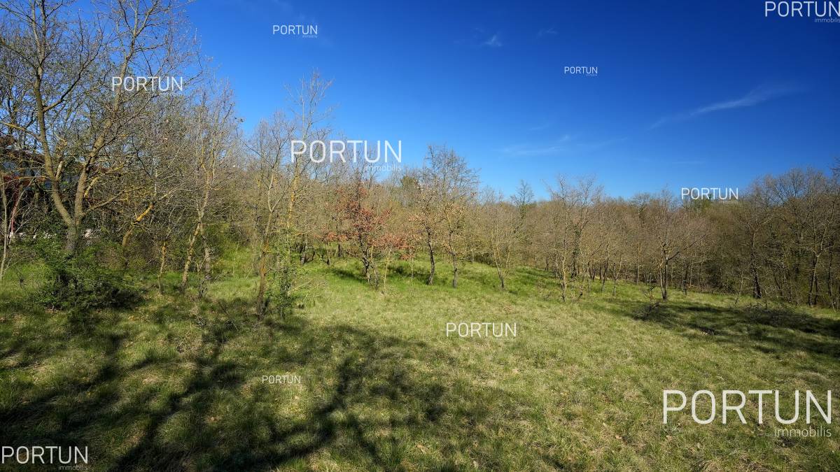 Terreno in vendita a Gimino - 40665 - 04