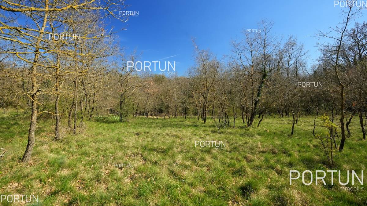 Terreno in vendita a Gimino - 40665 - 05