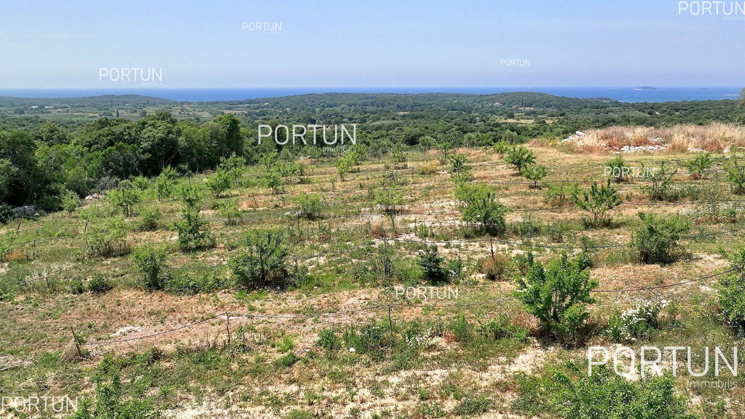 Terreno in vendita a Rovigno - 40514 - 04
