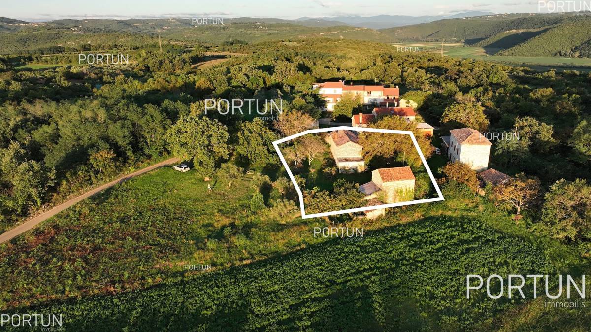 House for Sale in Brtonigla - 20805 - 07
