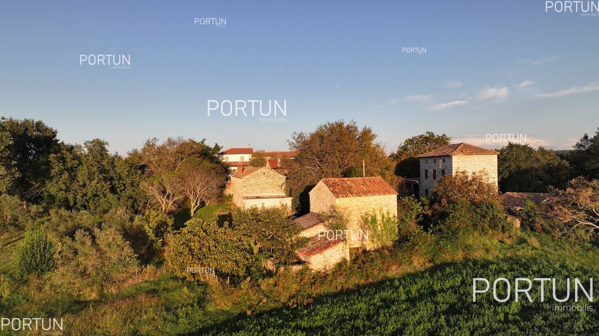 House for Sale in Brtonigla - 20805 - 08