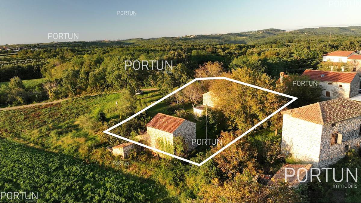 House for Sale in Brtonigla - 20805 - 09