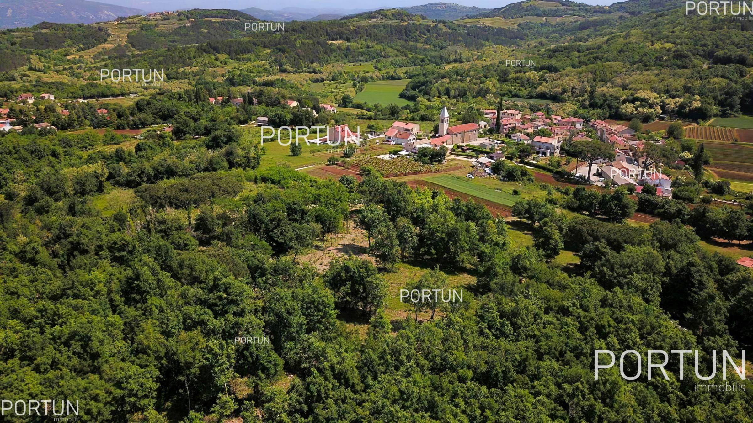 Land in the vicinity of Motovun 2