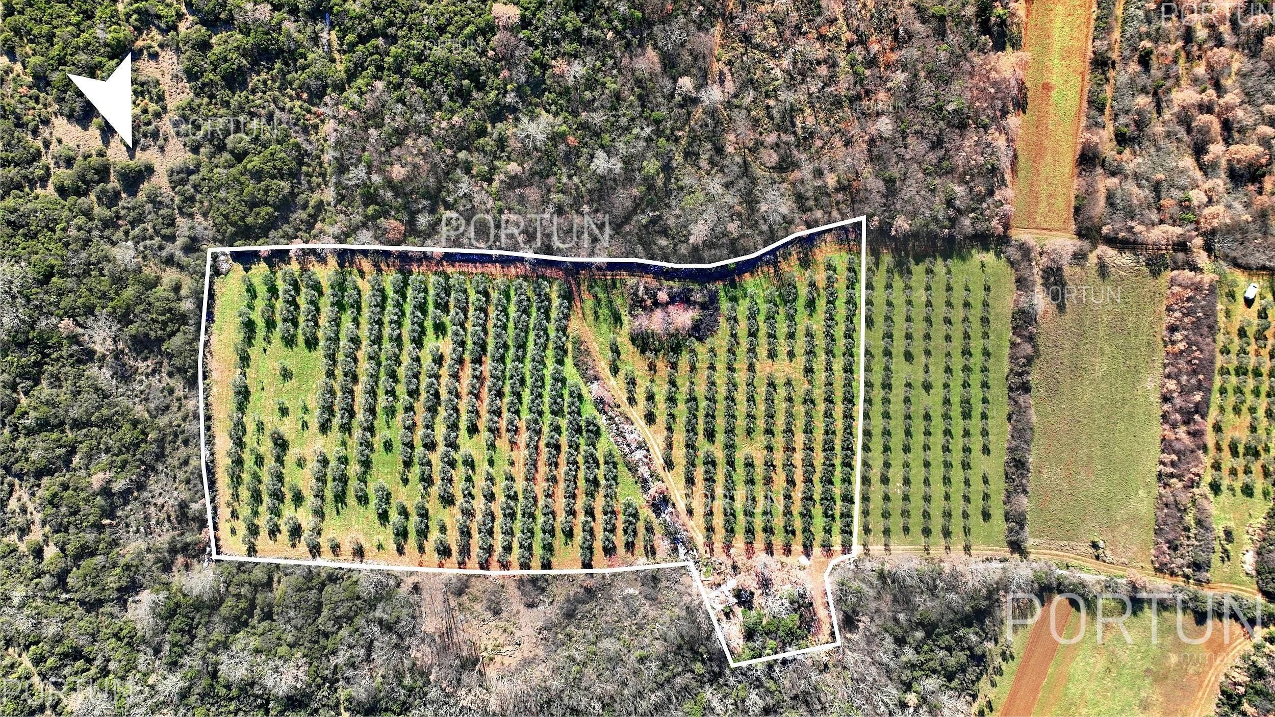 Zemljišče naprodaj v Rovinj - 40497 - 08