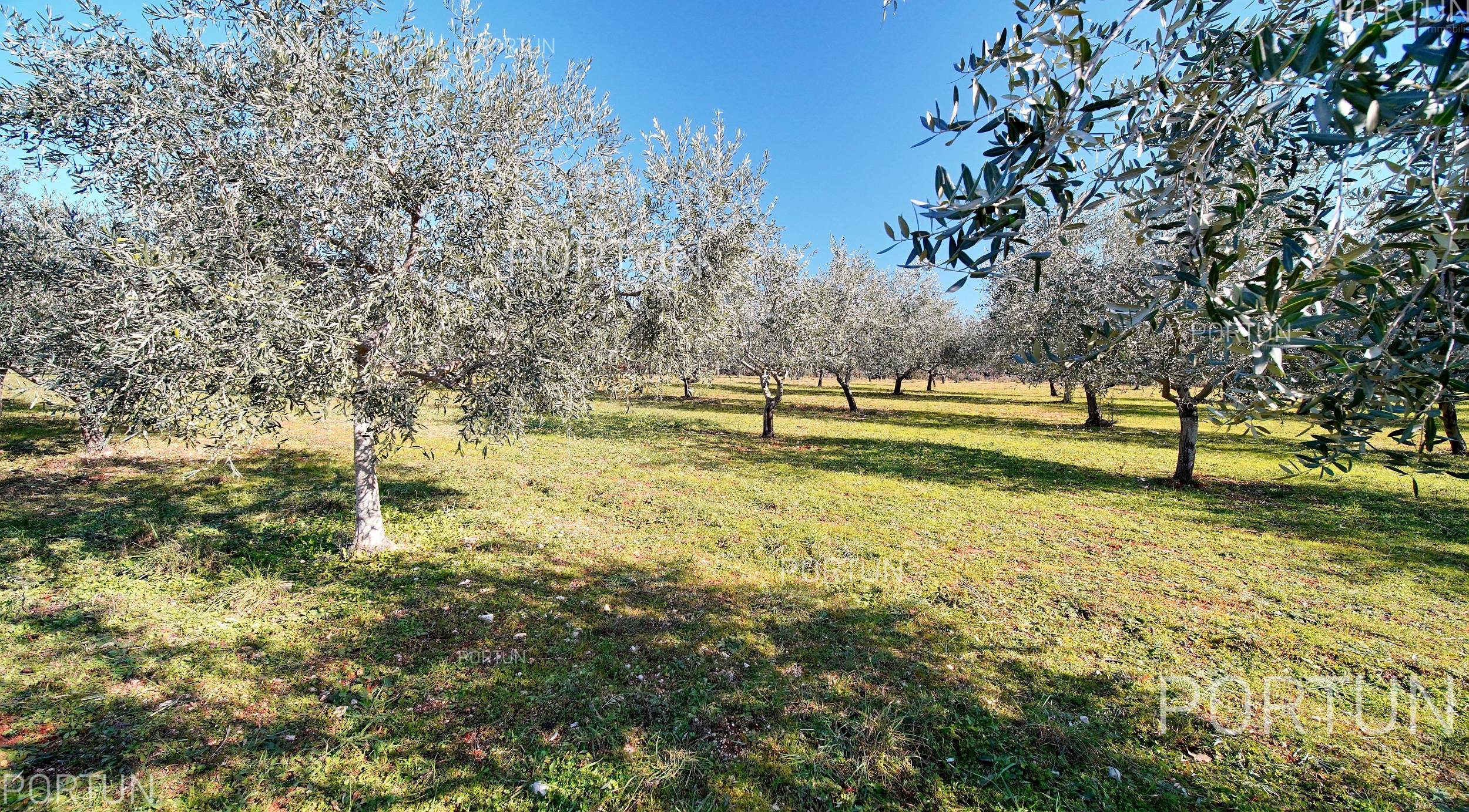 Zemljišče naprodaj v Rovinj - 40497 - 11