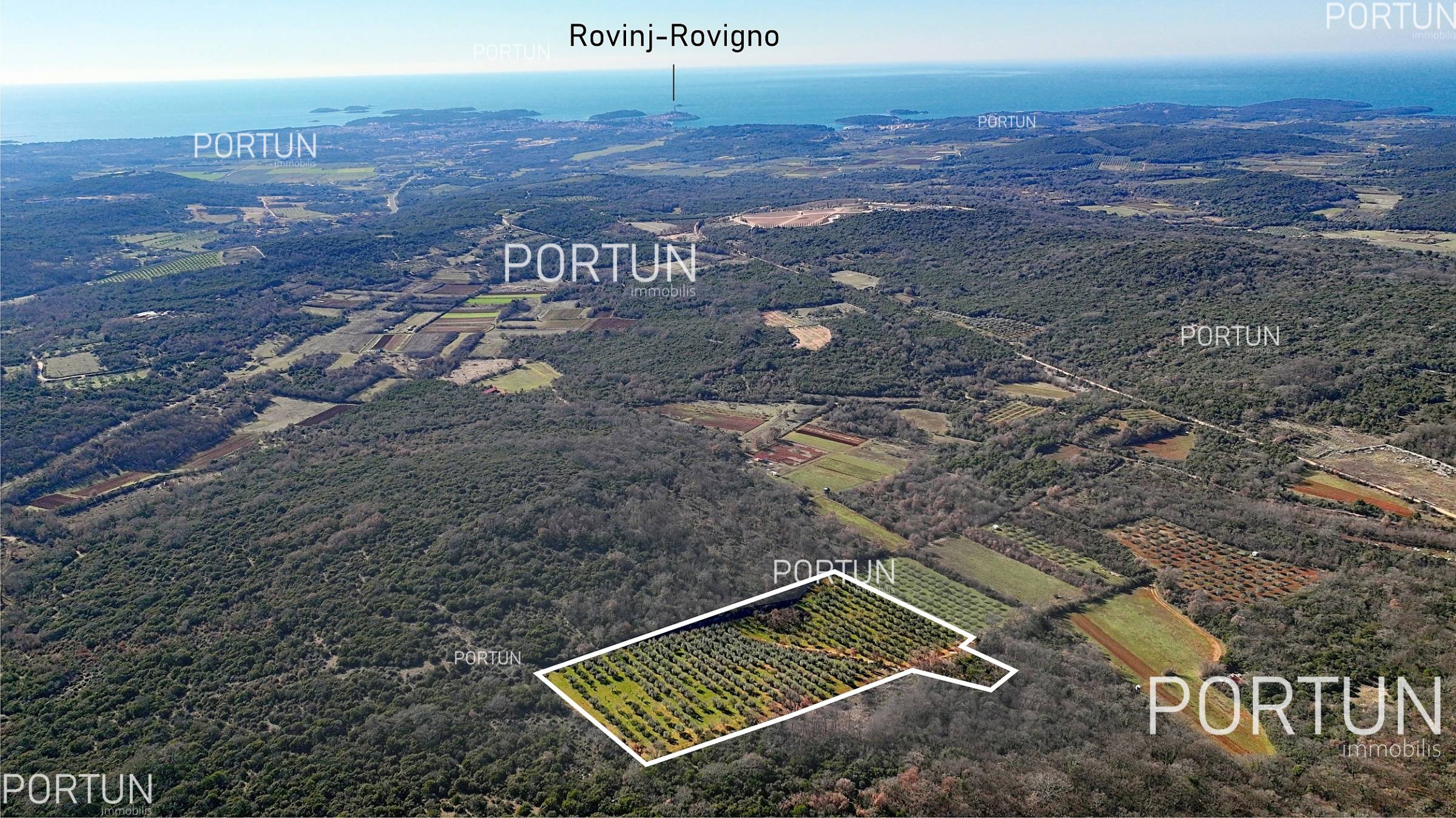 Terreno in vendita a Rovigno - 40497 - 01