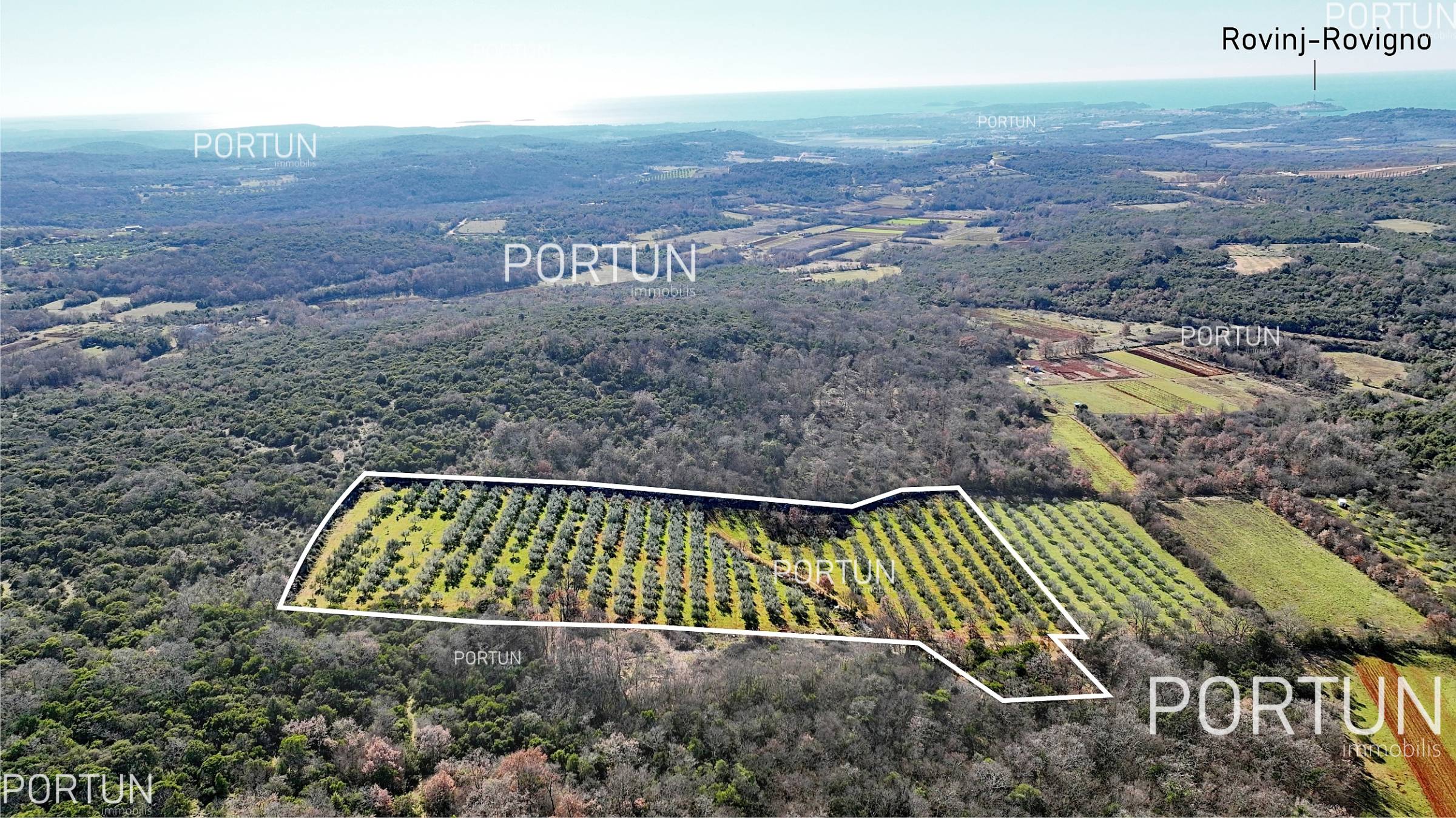 Terreno in vendita a Rovigno - 40497 - 07