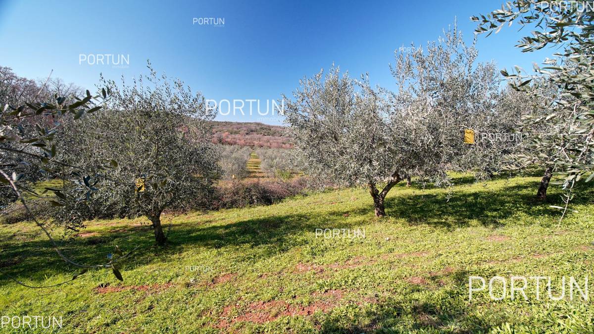 Grundstück zum Verkauf in Rovinj - 40497 - 09