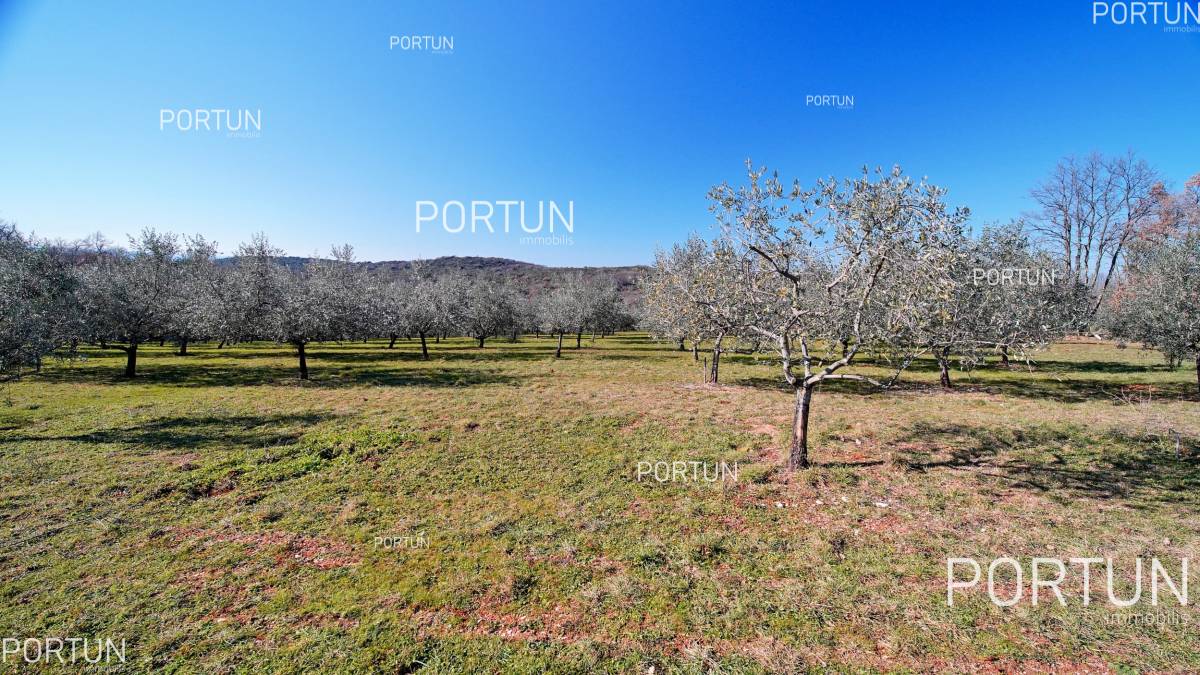 Grundstück zum Verkauf in Rovinj - 40497 - 10