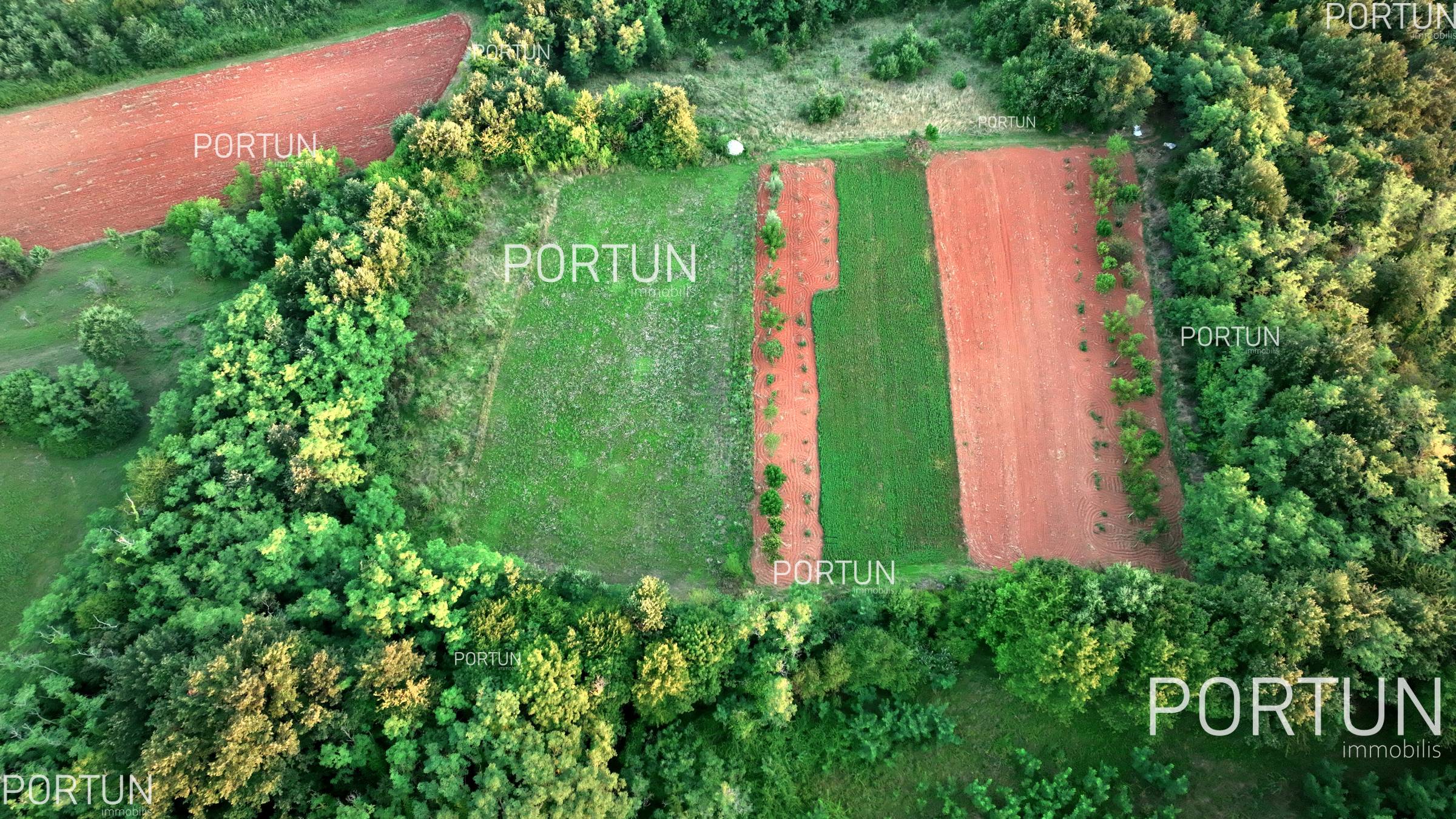 Terreno in vendita a Savincenti - 40507 - 07