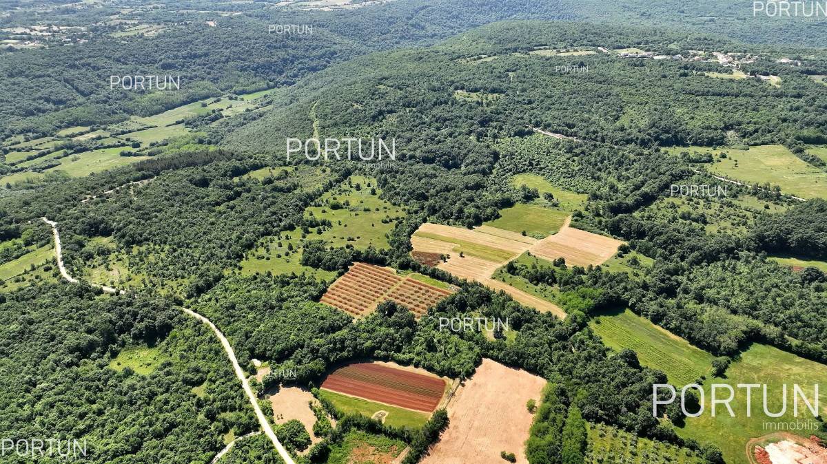Zemljište na prodaju Kanfanar - 40508 - 03