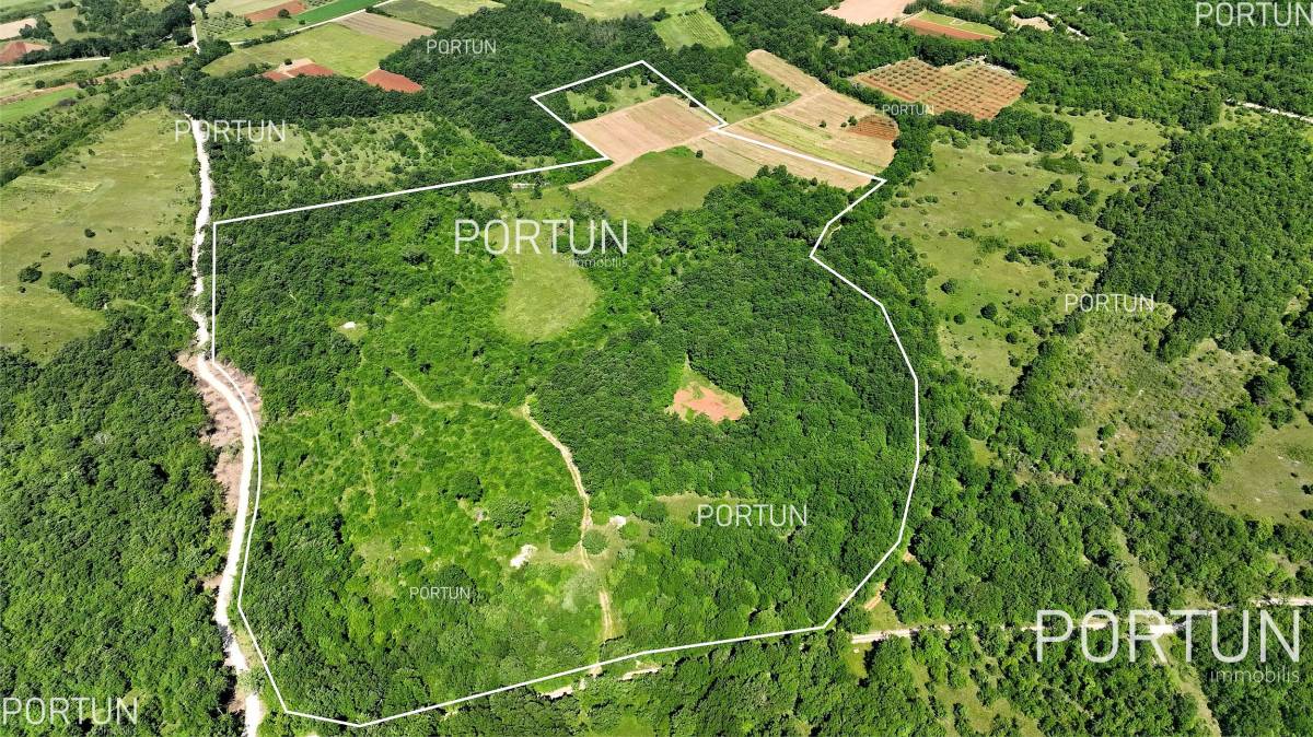 Zemljište na prodaju Kanfanar - 40508 - 05