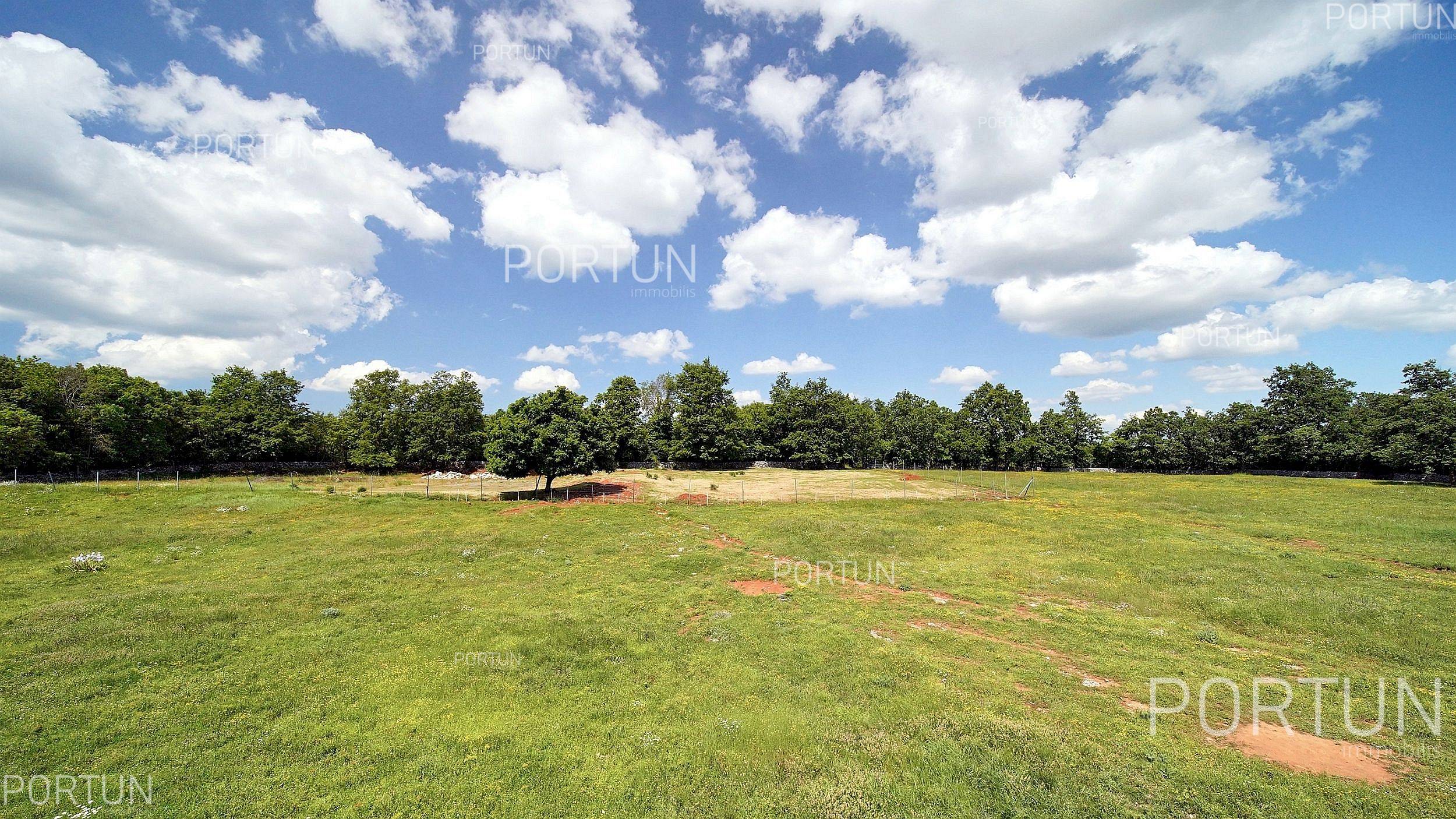 Terreno in vendita a Gimino - 40510 - 03