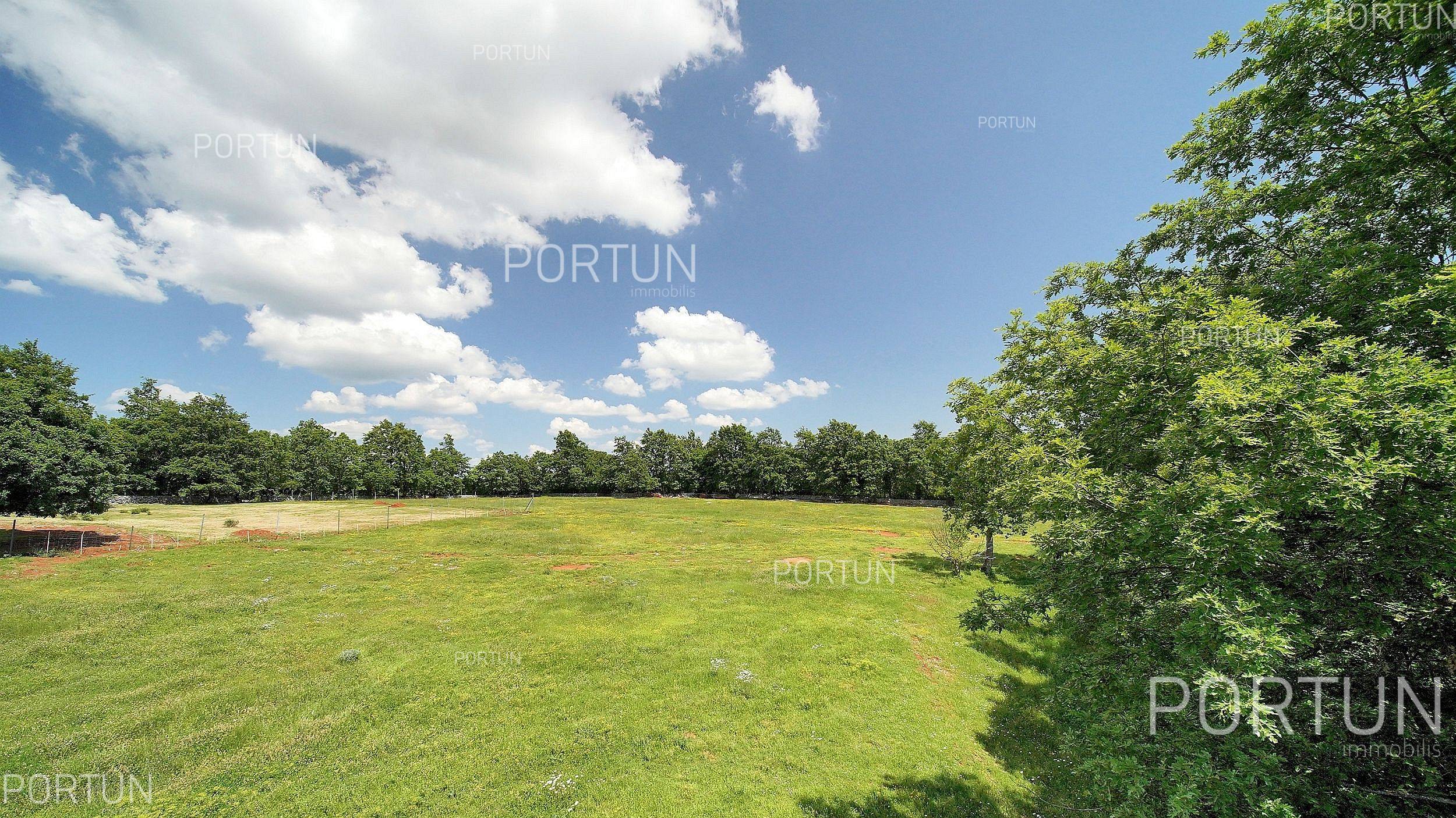 Terreno in vendita a Gimino - 40510 - 05