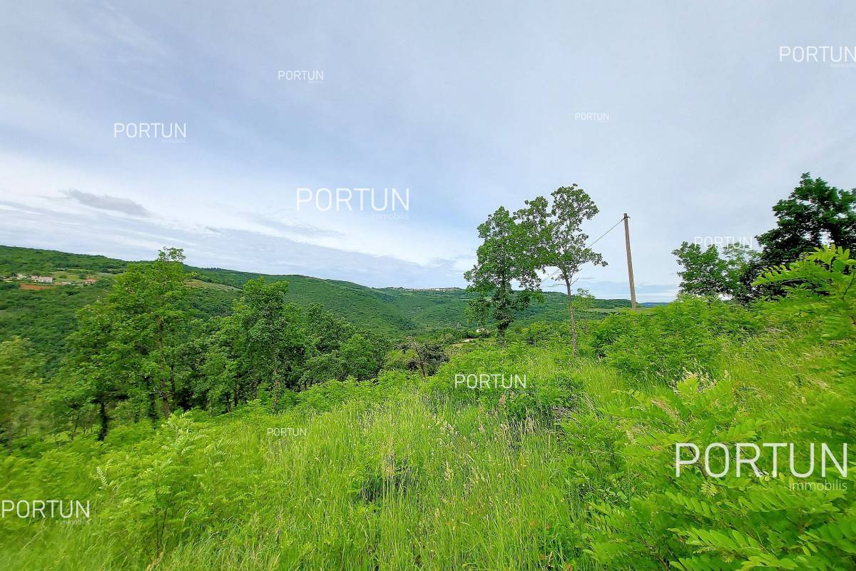 Zemljište na prodaju Motovun - 40509 - 02