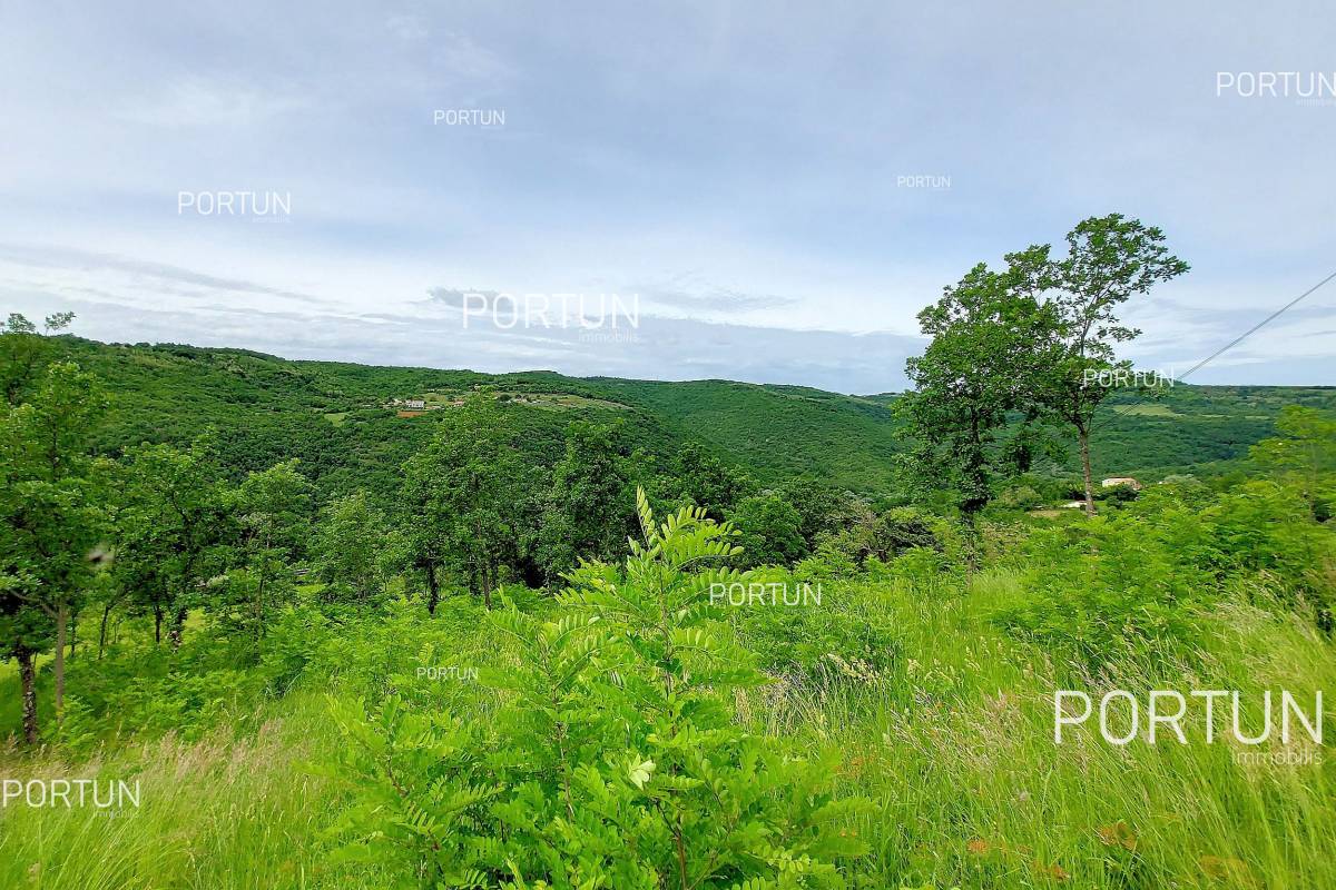 Zemljište na prodaju Motovun - 40509 - 03