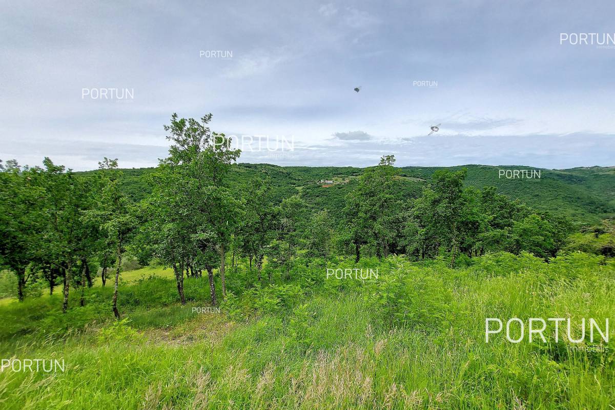Zemljište na prodaju Motovun - 40509 - 04