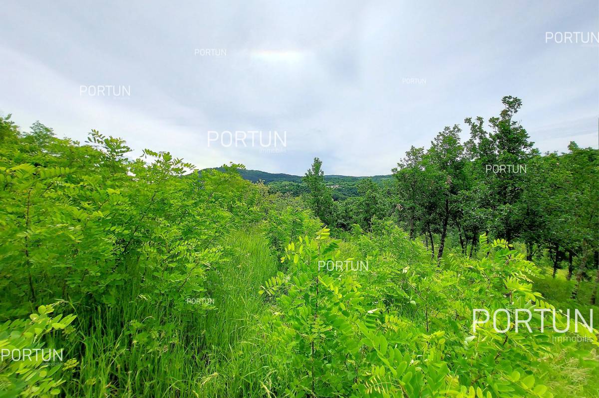 Zemljište na prodaju Motovun - 40509 - 05