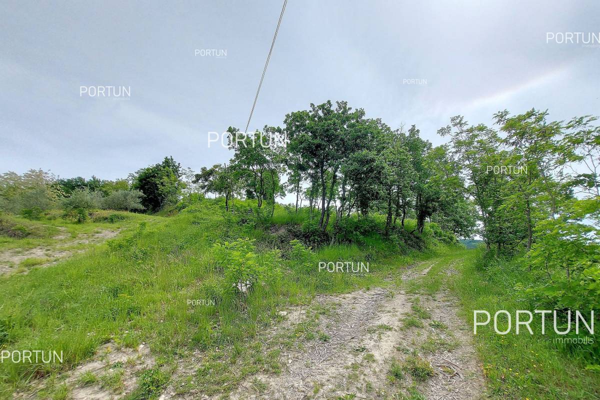 Zemljište na prodaju Motovun - 40509 - 06