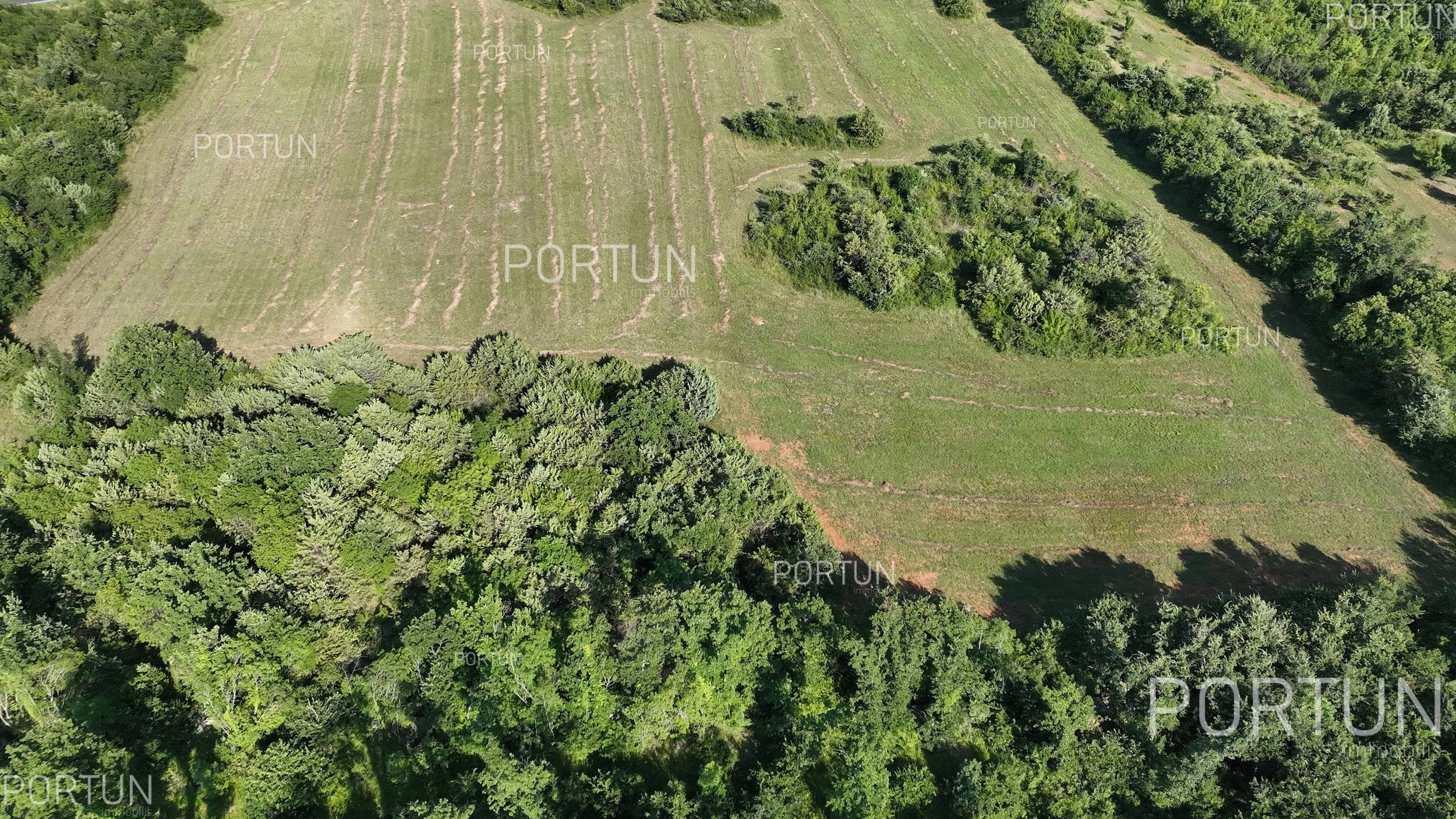 Terreno in vendita a Savincenti - 40521 - 01