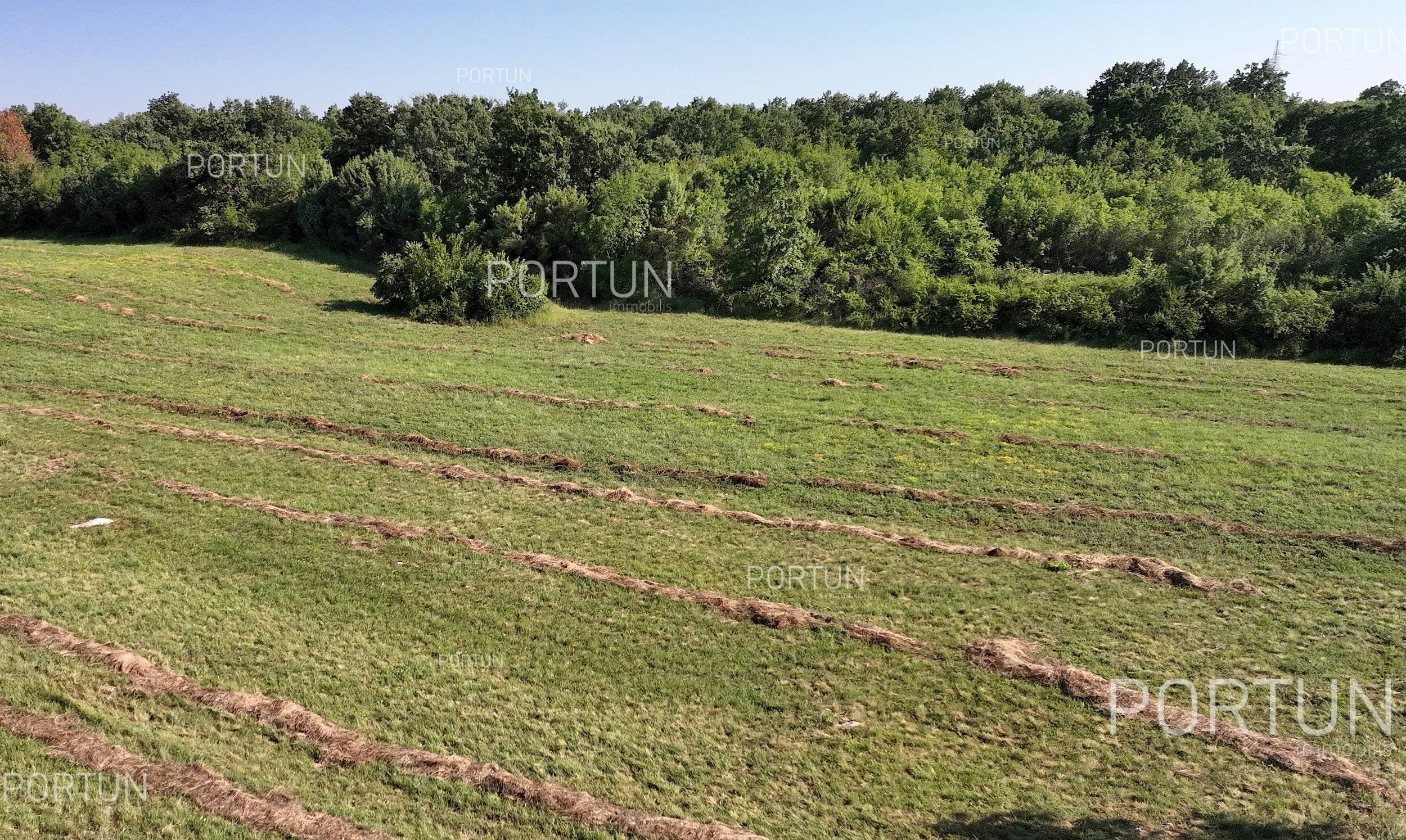 Terreno in vendita a Savincenti - 40521 - 02