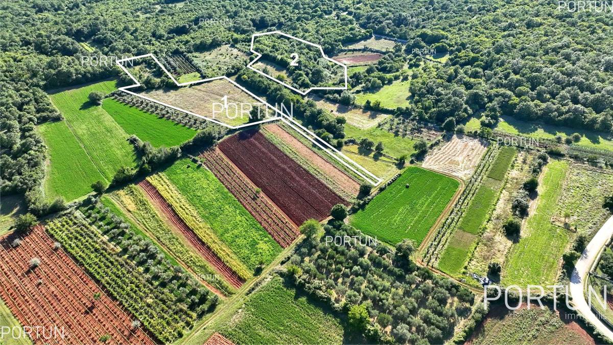 Terreno in vendita a Savincenti - 40522 - 01