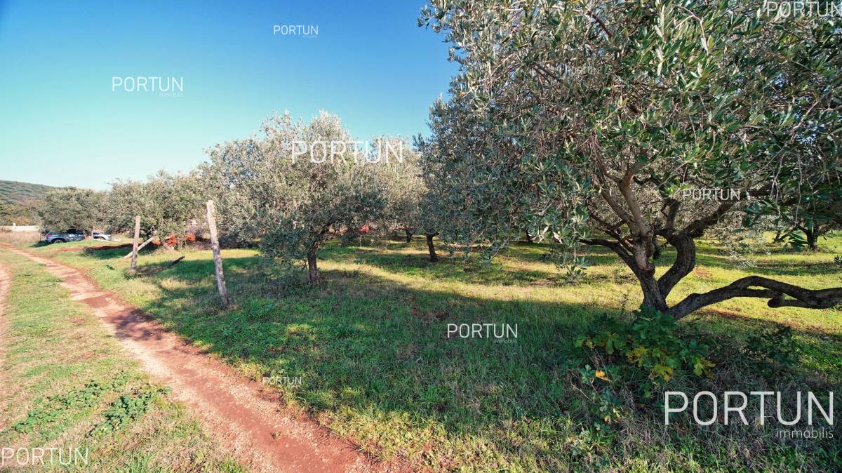 Zemljište na prodaju Rovinj - 40537 - 04