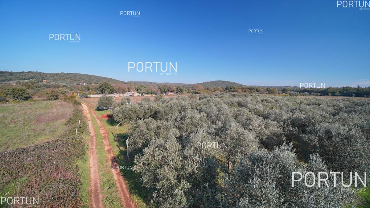 Zemljište na prodaju Rovinj - 40537 - 05