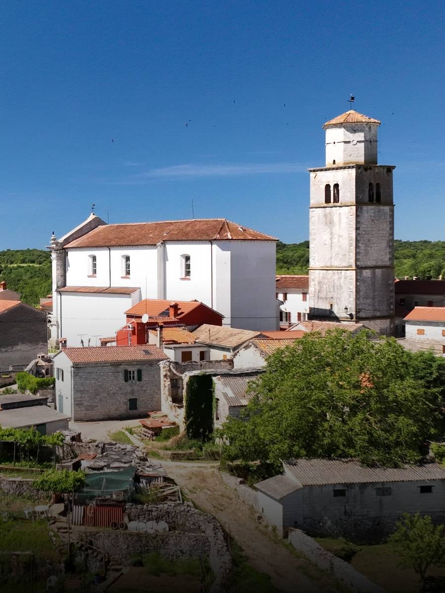Tinjan