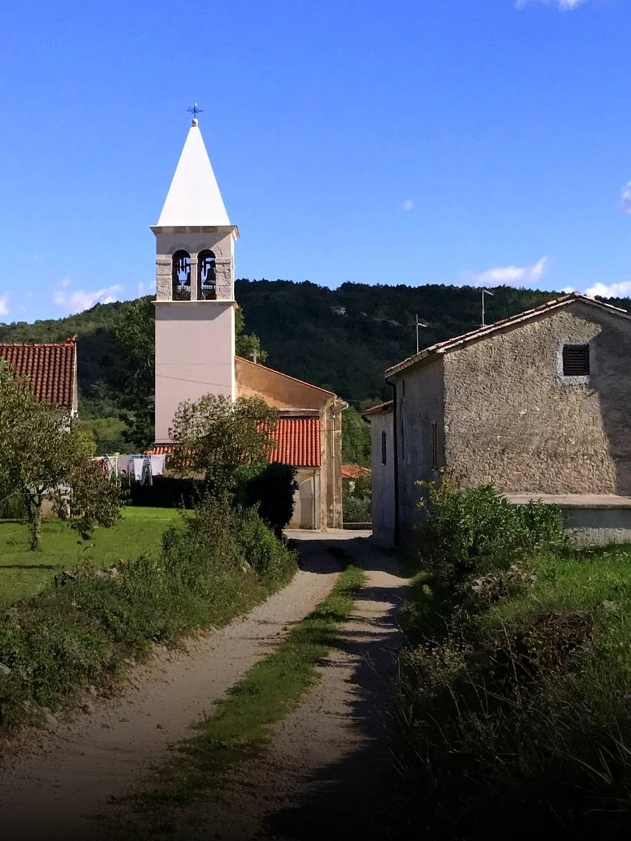 Caroiba