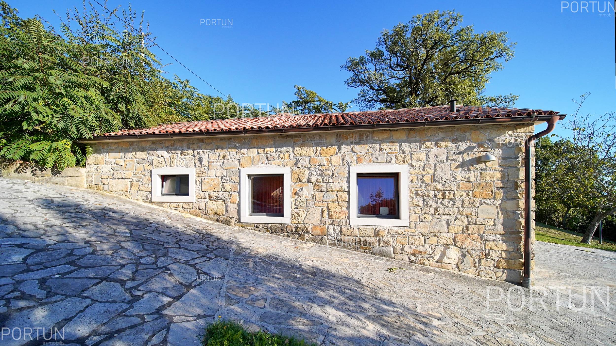 Casa in vendita a Pinguente - 20699 - 02