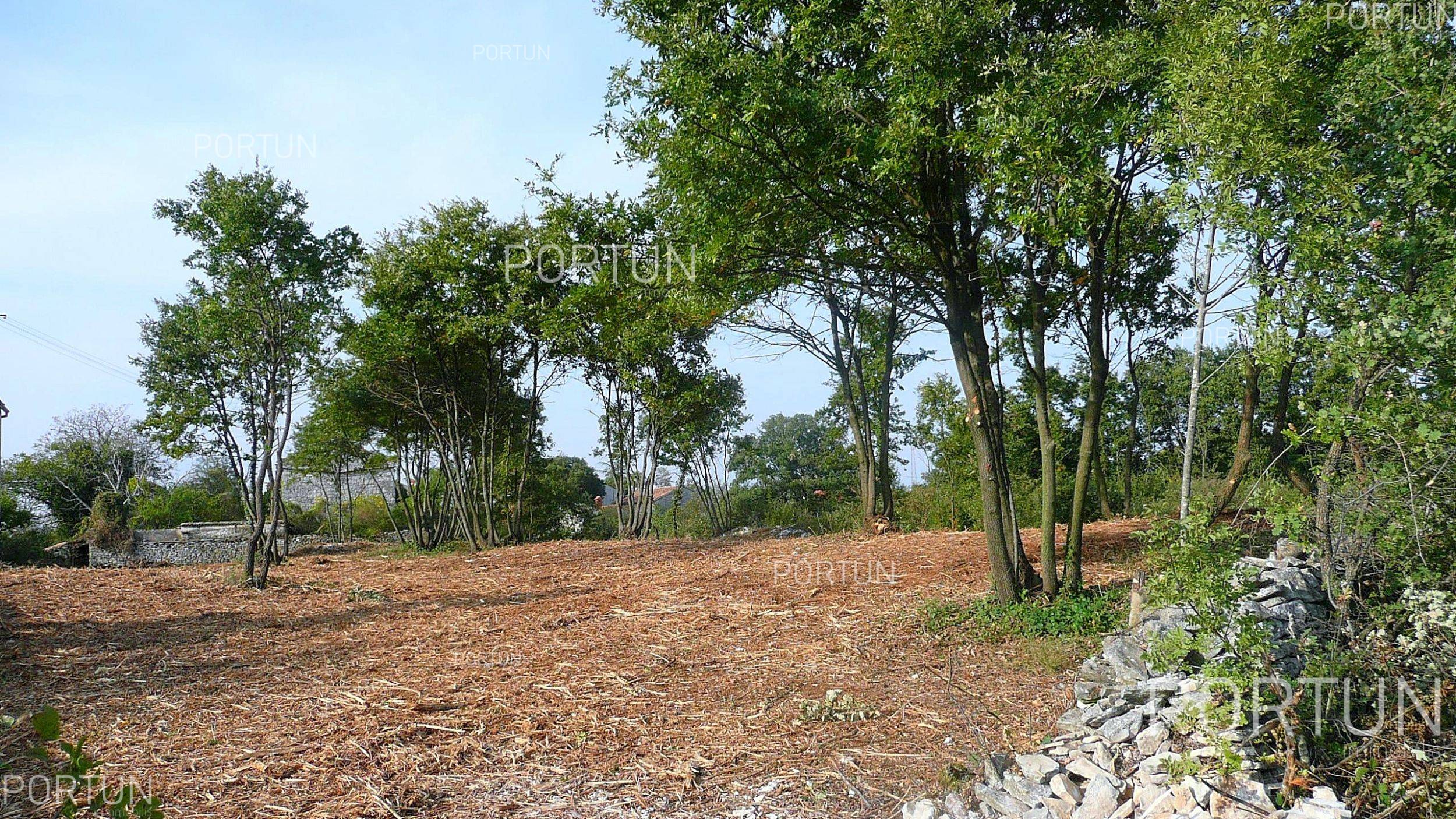 Plot of land for Sale in Svetvinčenat - 40137 - 06