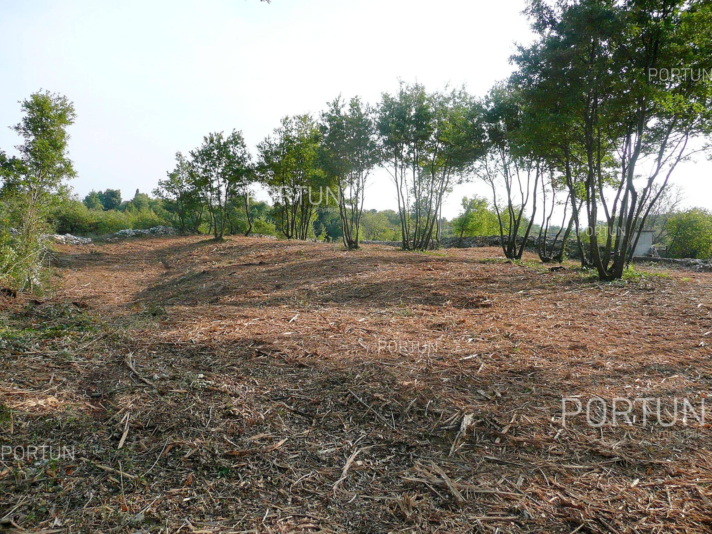 Plot of land for Sale in Svetvinčenat - 40137 - 05