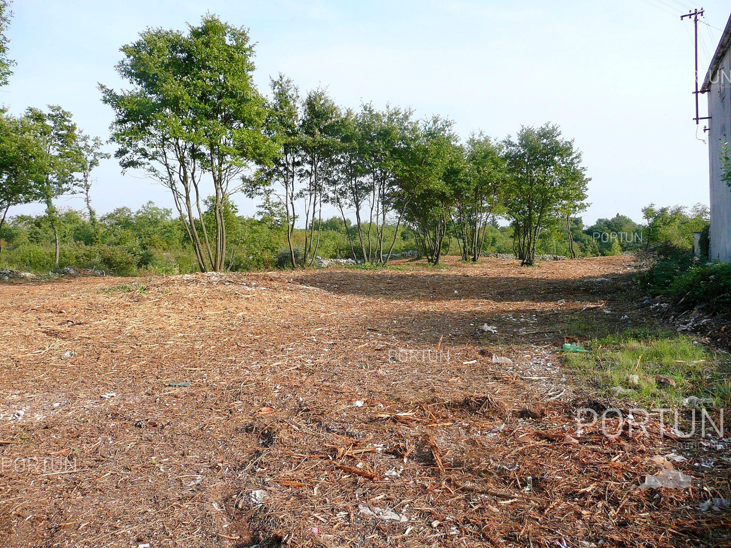 Plot of land for Sale in Svetvinčenat - 40137 - 04