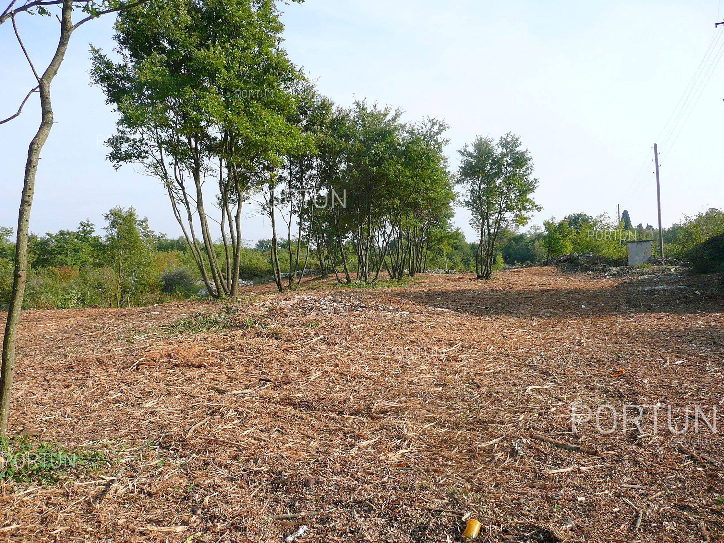 Plot of land for Sale in Svetvinčenat - 40137 - 07
