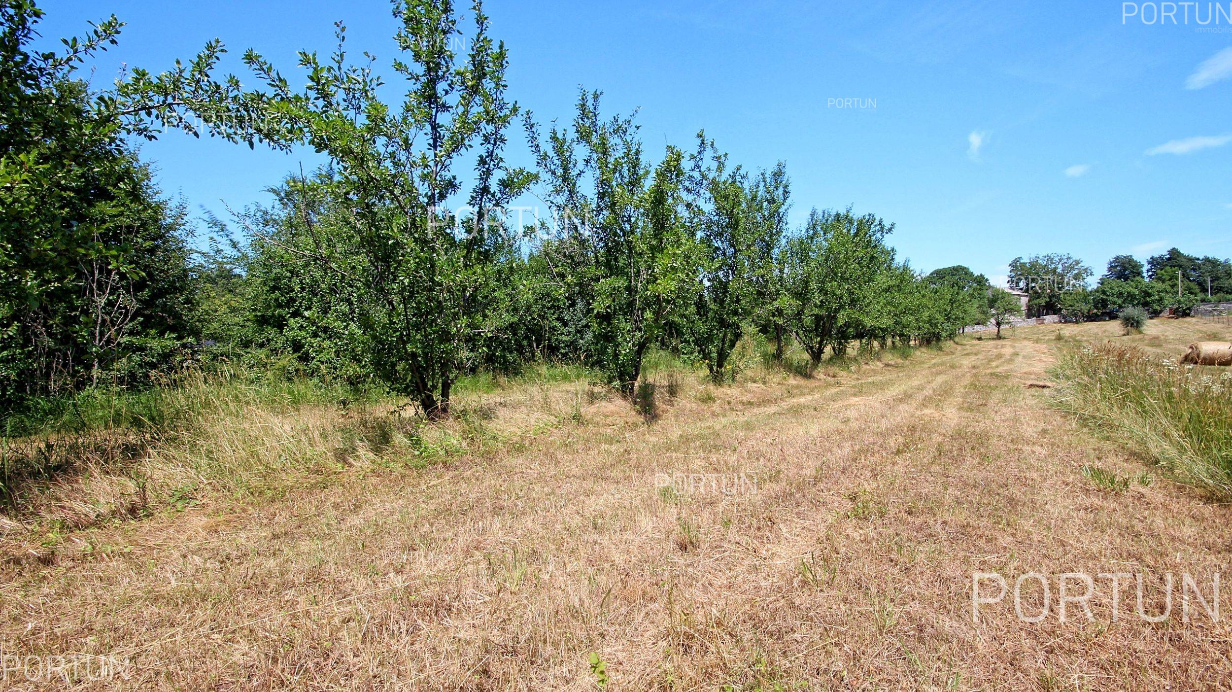 Zemljište na prodaju Žminj - 40316 - 03