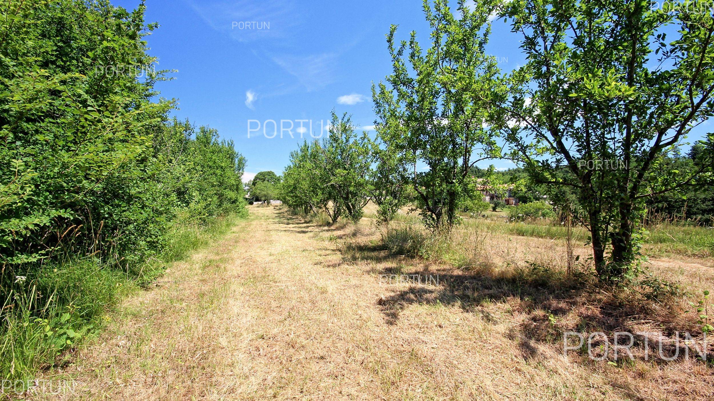 Zemljište na prodaju Žminj - 40316 - 04