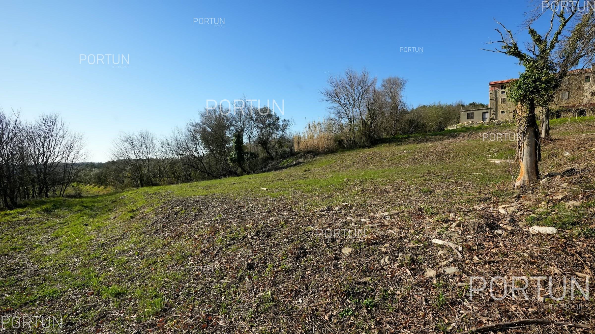 Grundstück zum Verkauf in Grožnjan - 40441 - 05