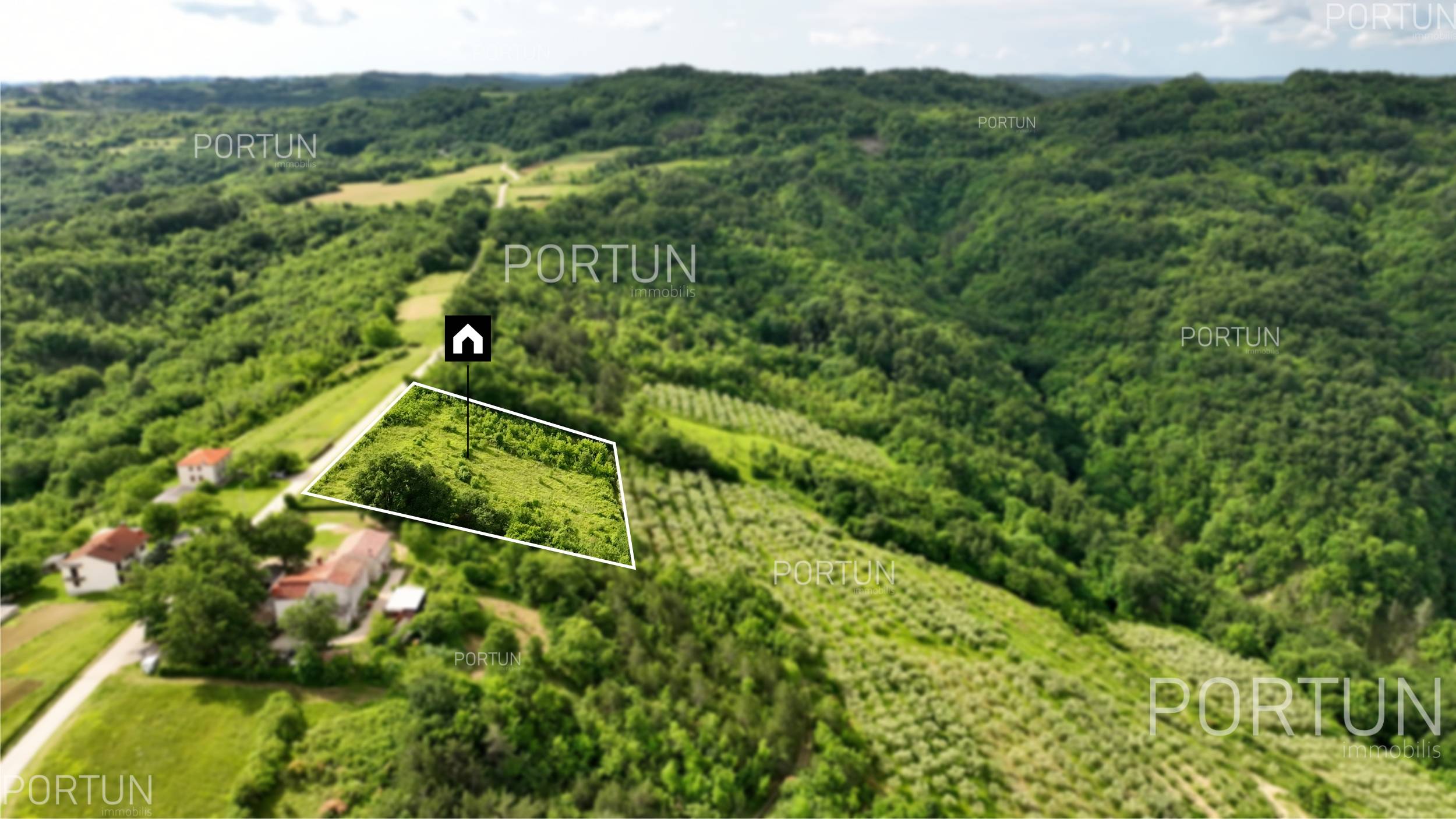 Zemljišče naprodaj v Motovun - 40542 - 03