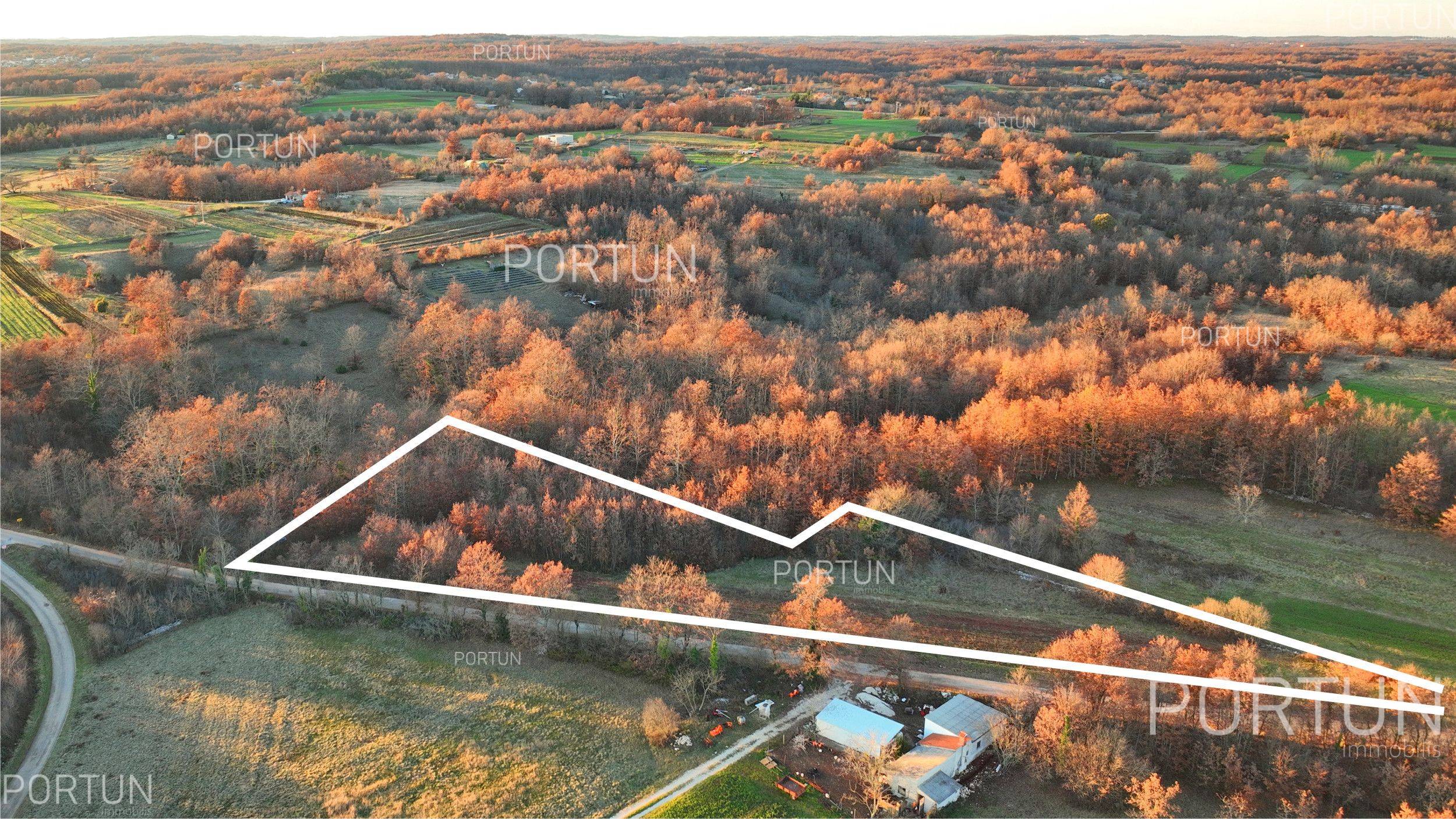 Terreno in vendita a Gimino - 40534 - 03